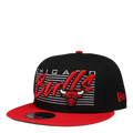 TEAM WORDMARK 950 BULLS