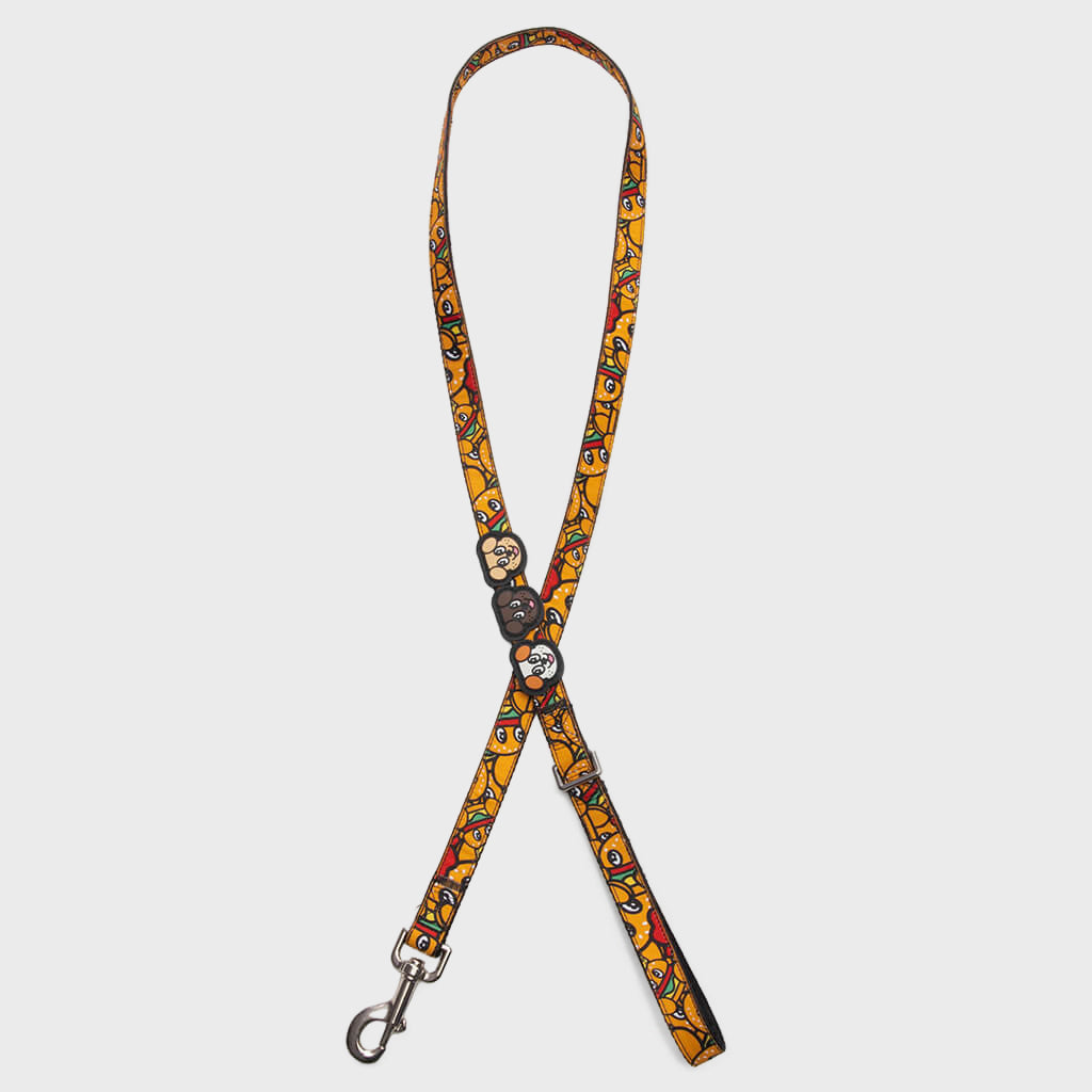 Adjustable Dog Leash - Multi