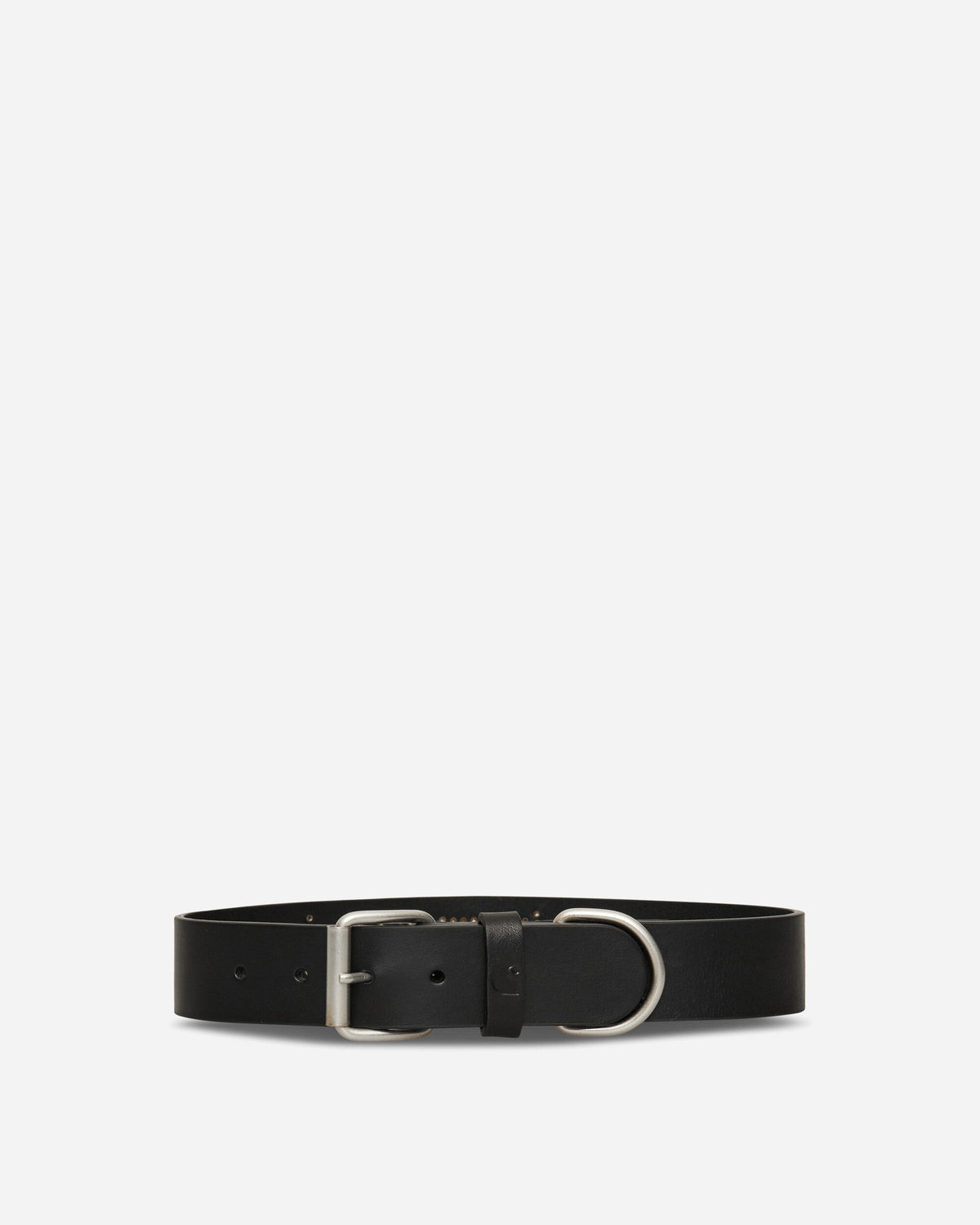 Script Studs Dog Collar Black