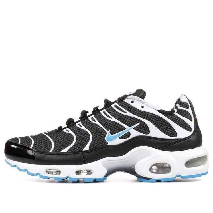 Nike Air Max Plus 'Black Vivid Blue White' 604133-944