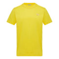Moncler Solid Color Crewneck For Men Yellow 0918C733008390Y160